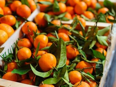 temps-des-cerises-clémentines-bio